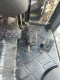 2018 KIOTI CK4010SE SE 4WD