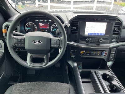 2021 Ford F-150 Tremor