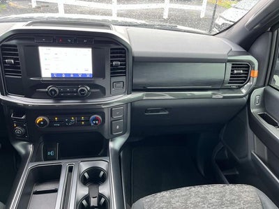 2021 Ford F-150 Tremor